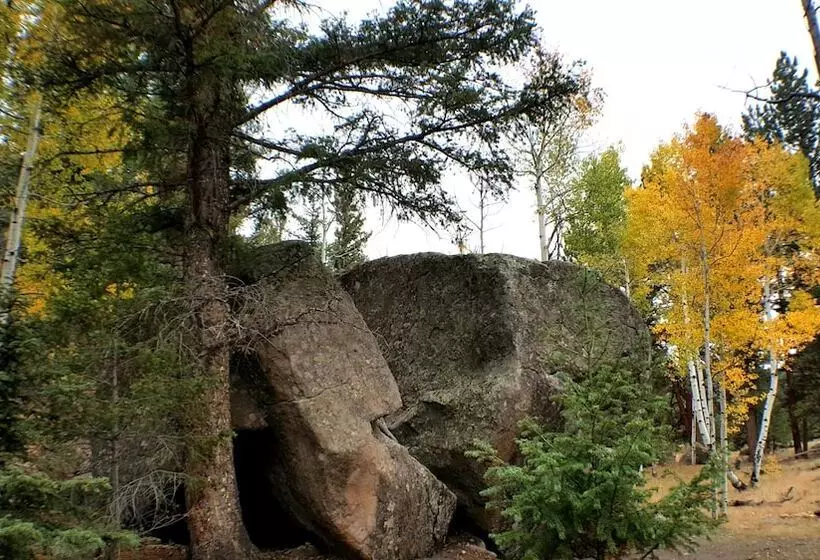 Отель The Spruce Lodge