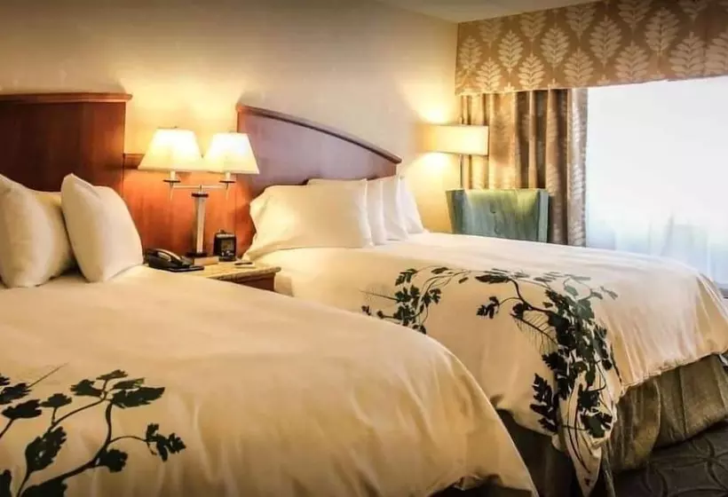 בית מלון כפרי Wingate By Wyndham Elkins