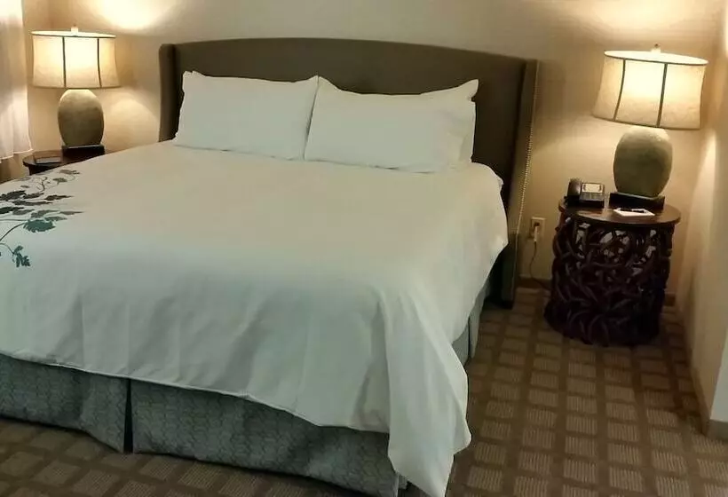 בית מלון כפרי Wingate By Wyndham Elkins