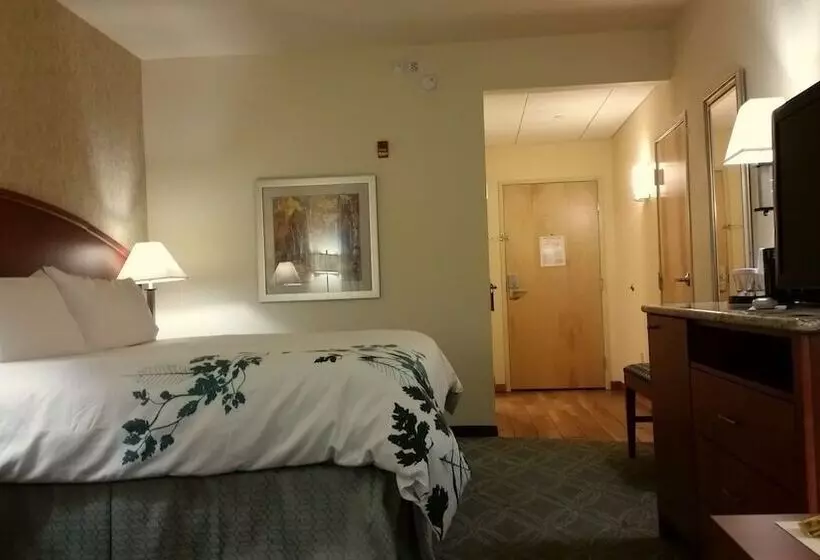 בית מלון כפרי Wingate By Wyndham Elkins