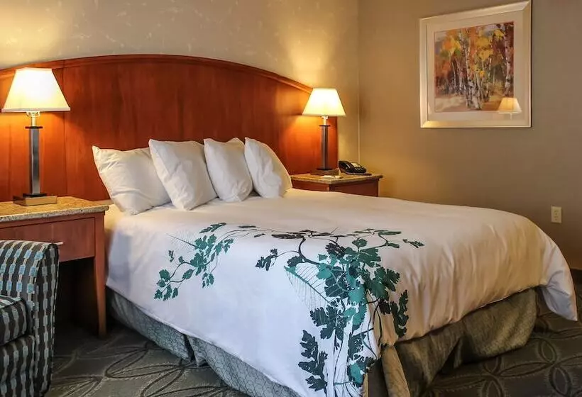 בית מלון כפרי Wingate By Wyndham Elkins