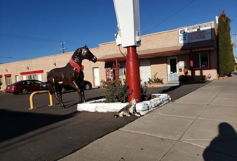 فندق على الطريق Deluxe Inn