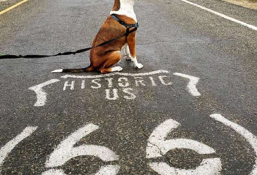 فندق على الطريق Deluxe Inn