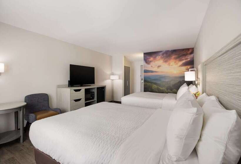 ホテル Clarion Pointe Sylva Near Cherokee Area