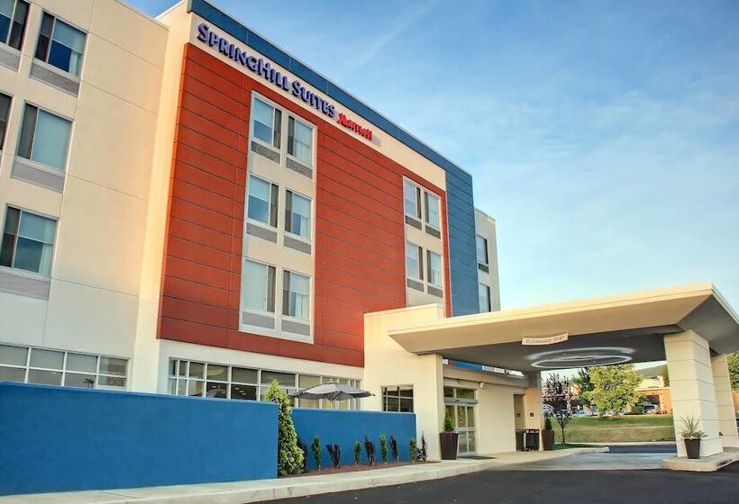 Отель Springhill Suites By Marriott Scranton Montage Mountain