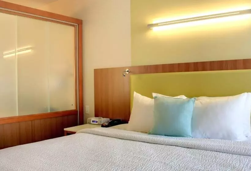 ホテル Springhill Suites By Marriott Scranton Montage Mountain