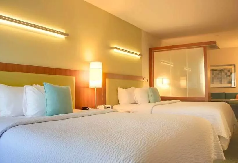 ホテル Springhill Suites By Marriott Scranton Montage Mountain