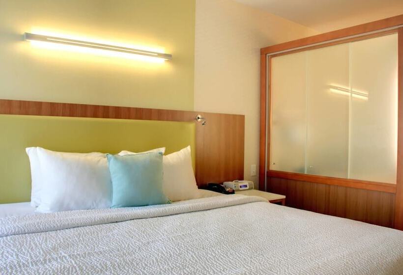 Отель Springhill Suites By Marriott Scranton Montage Mountain