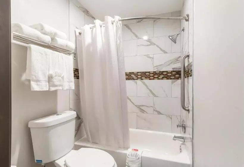 ホテル Summit Inn  Houston Medical Center  Nrg Park