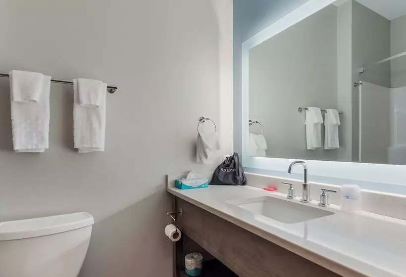 Surestay Plus Hotel By Best Western Highland Poughkeepsie