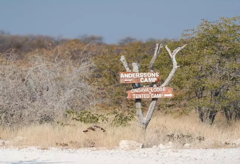 Ongava Tented Camp