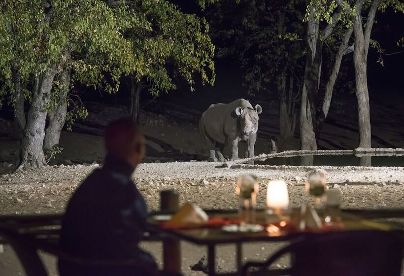 Ongava Tented Camp