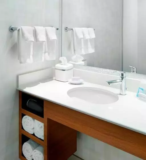 Springhill Suites By Marriott Pittsburgh Bakery Square