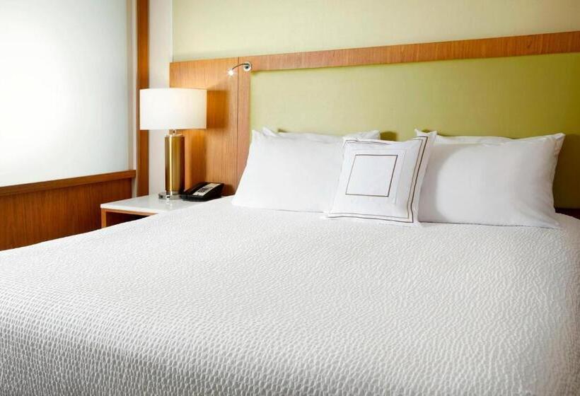 Springhill Suites By Marriott Pittsburgh Bakery Square