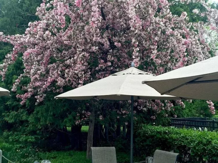 Country House Resort