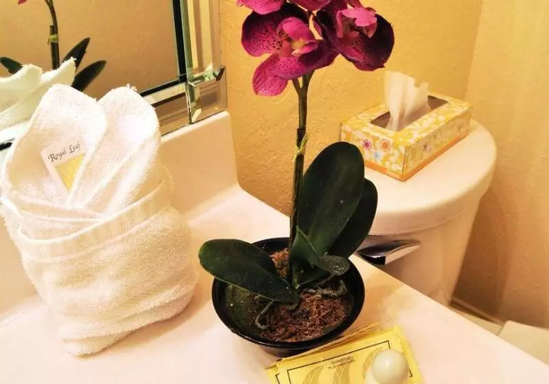 Отель 30a Inn & Suites