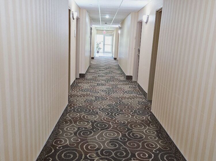 酒店 Cobblestone Inn & Suites Bloomfield