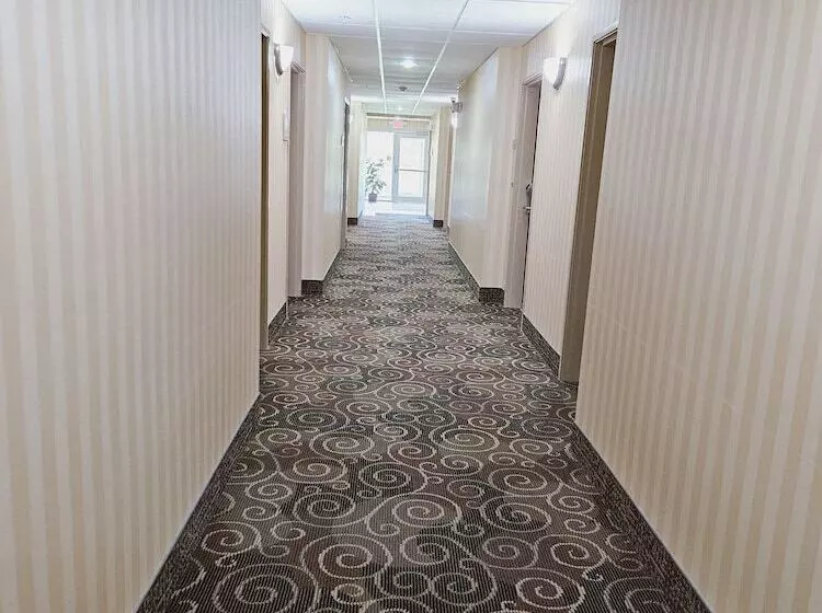 酒店 Cobblestone Inn & Suites  Bloomfield