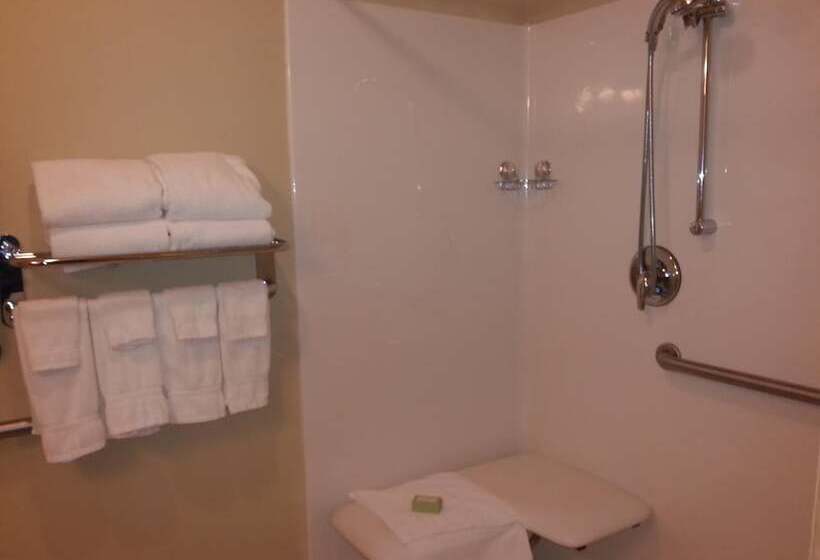 酒店 Cobblestone Inn & Suites Bloomfield