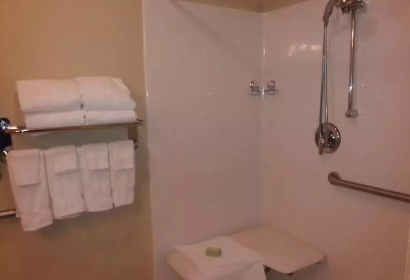 酒店 Cobblestone Inn & Suites  Bloomfield