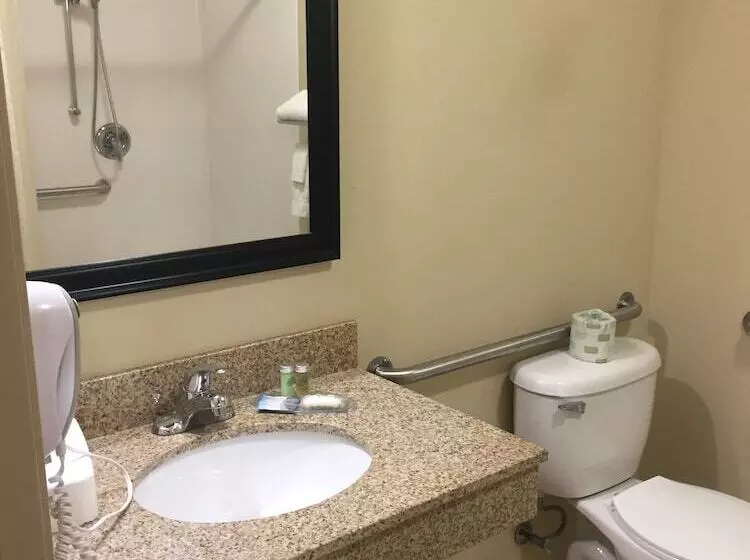 酒店 Cobblestone Inn & Suites  Bloomfield