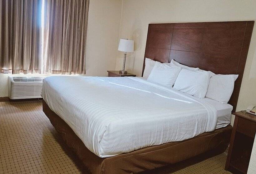 酒店 Cobblestone Inn & Suites Bloomfield