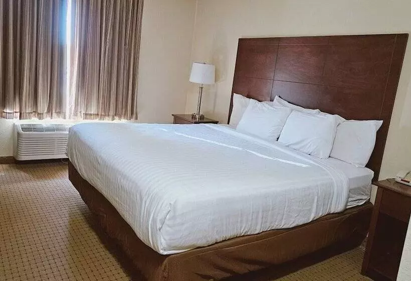 酒店 Cobblestone Inn & Suites  Bloomfield