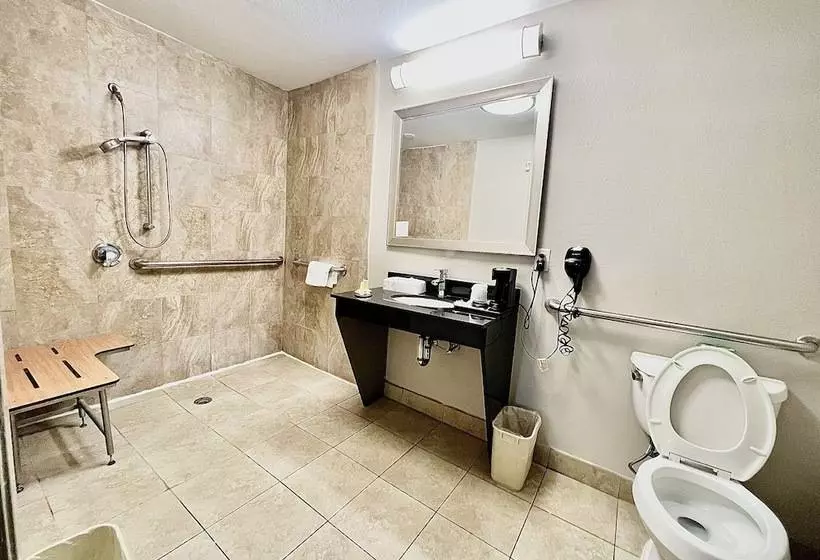 Hotel Days Inn & Suites By Wyndham Arlington Near Six Flags