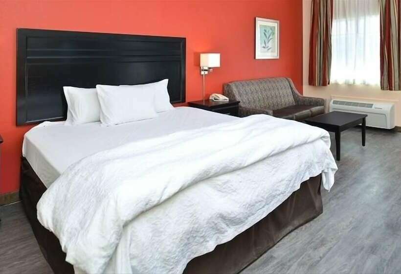 فندق La Bonita Inn & Suites Mccamey