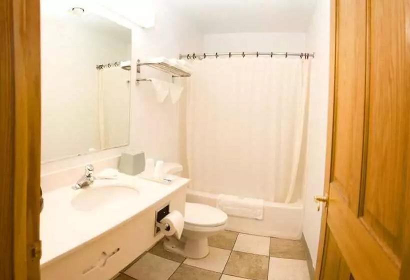 酒店 North Country Inn & Suites