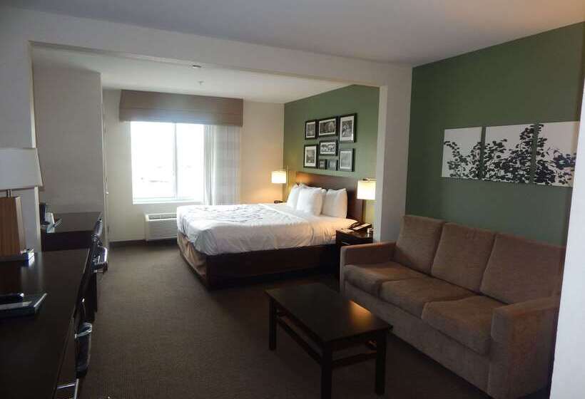 בית מלון כפרי Sleep Inn & Suites Near Liberty Place I65