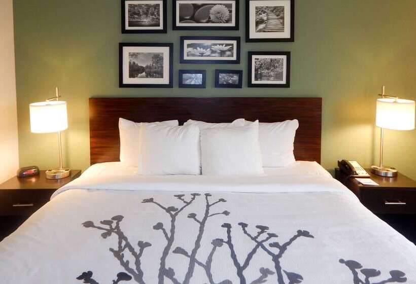 בית מלון כפרי Sleep Inn & Suites Near Liberty Place I65