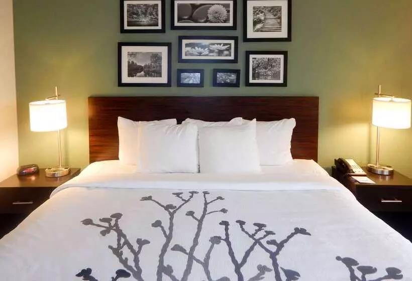 호텔 Sleep Inn & Suites Near Liberty Place I65