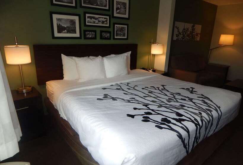 בית מלון כפרי Sleep Inn & Suites Near Liberty Place I65