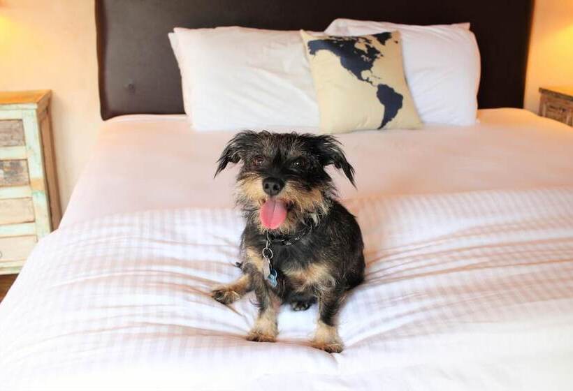 هتل The Maverick Inn