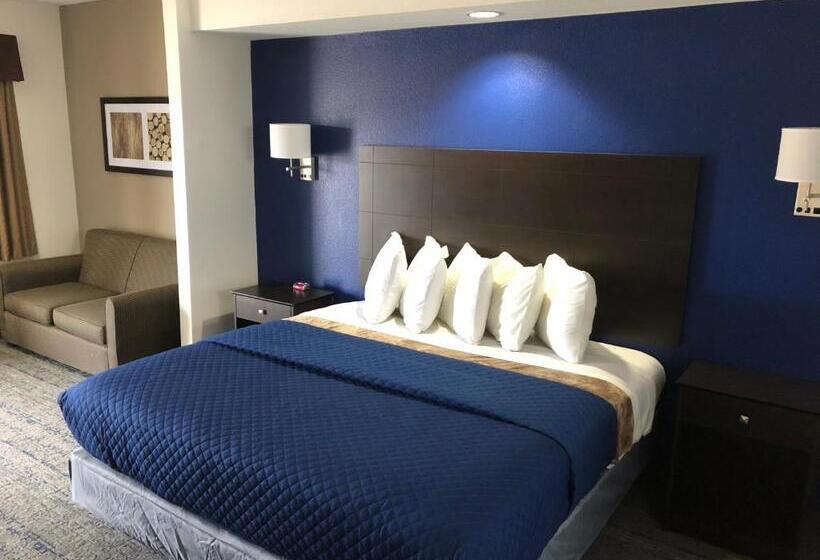 מוטל Executive Inn & Suites Joaquin