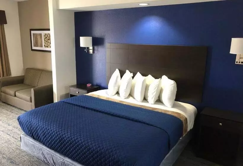 汽车旅馆 Executive Inn & Suites Joaquin