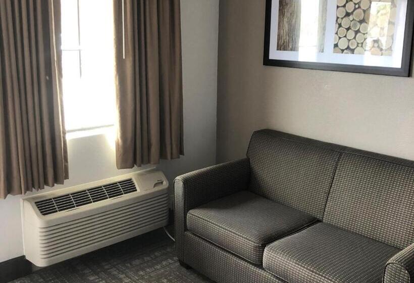 מוטל Executive Inn & Suites Joaquin