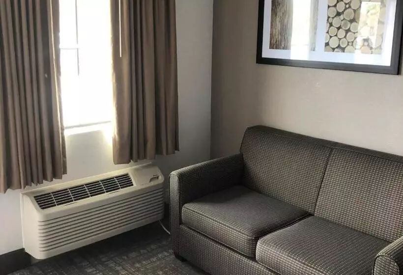 汽车旅馆 Executive Inn & Suites Joaquin