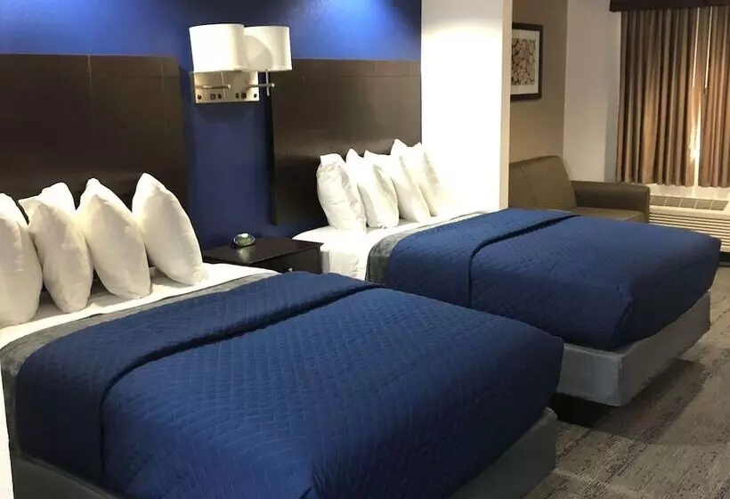 汽车旅馆 Executive Inn & Suites Joaquin