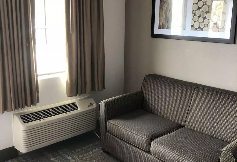 汽车旅馆 Executive Inn & Suites Joaquin