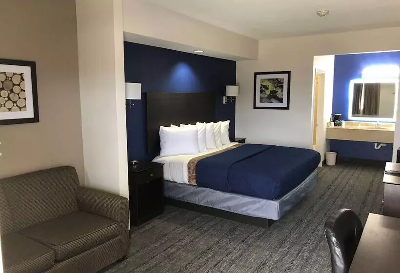 汽车旅馆 Executive Inn & Suites Joaquin