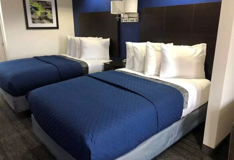 汽车旅馆 Executive Inn & Suites Joaquin