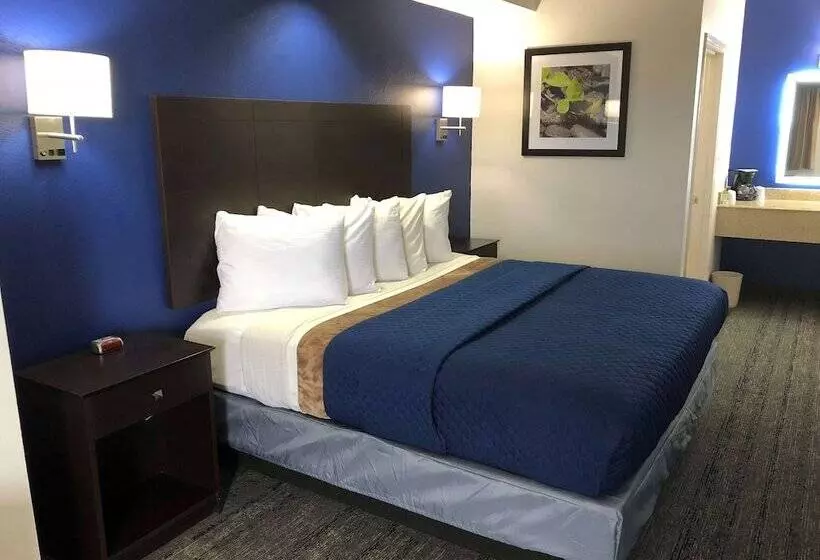 汽车旅馆 Executive Inn & Suites Joaquin