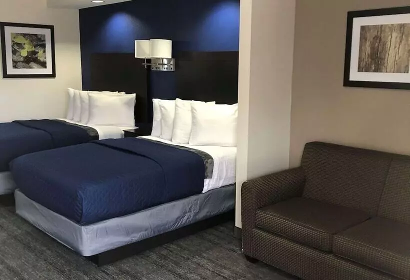 汽车旅馆 Executive Inn & Suites Joaquin