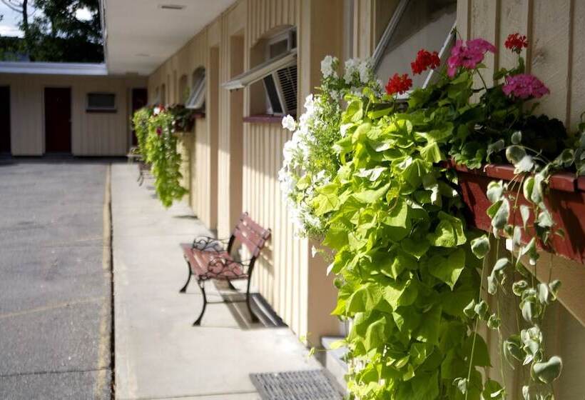 汽车旅馆  Sunset Motor Inn