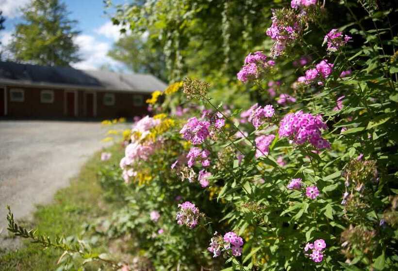 汽车旅馆  Sunset Motor Inn