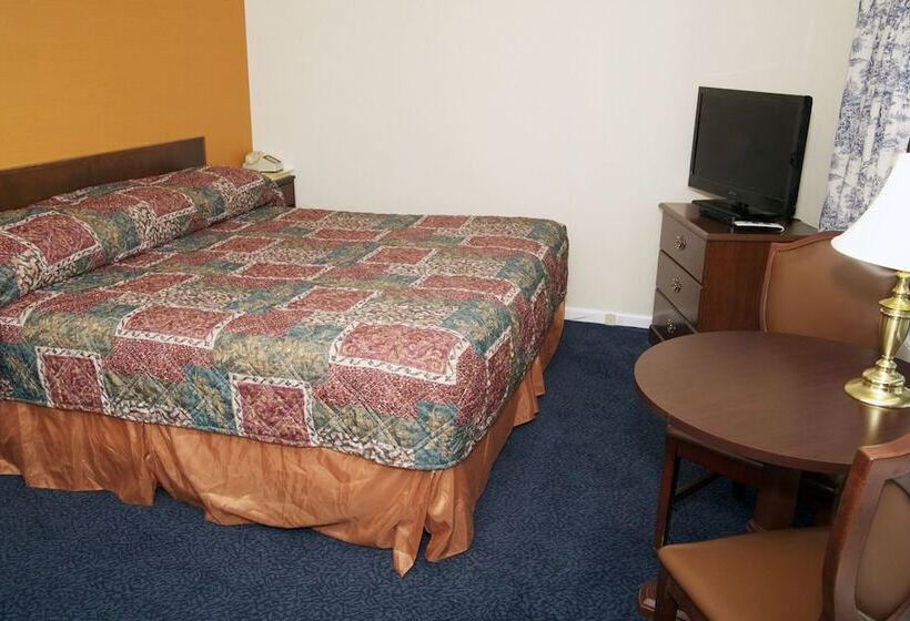 汽车旅馆  Sunset Motor Inn