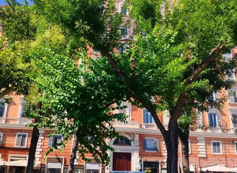 Bed and Breakfast R.c. Vatican View