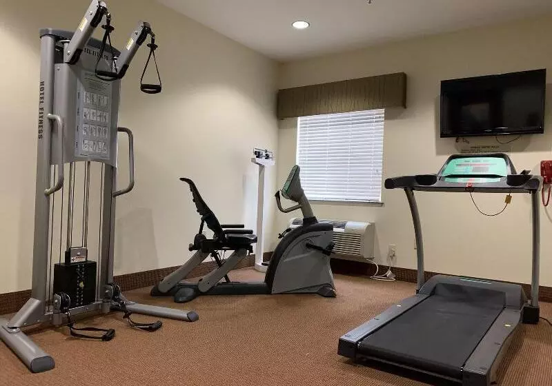 호텔 American Inn Madill